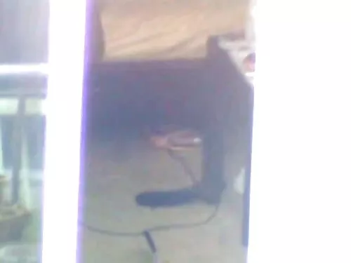 Orgasmasaj porno cu  ...