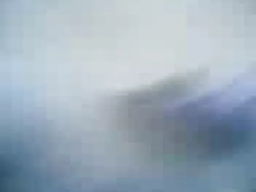 Plăcere documentată. ...